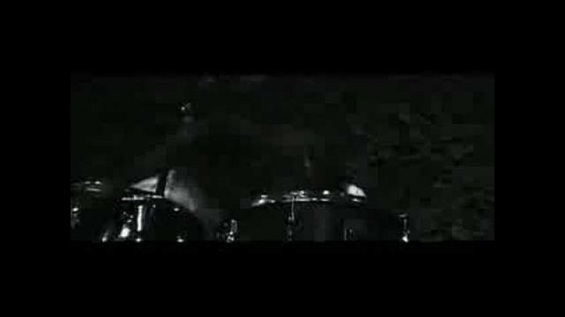 B.O.S.C.H. - Mehr