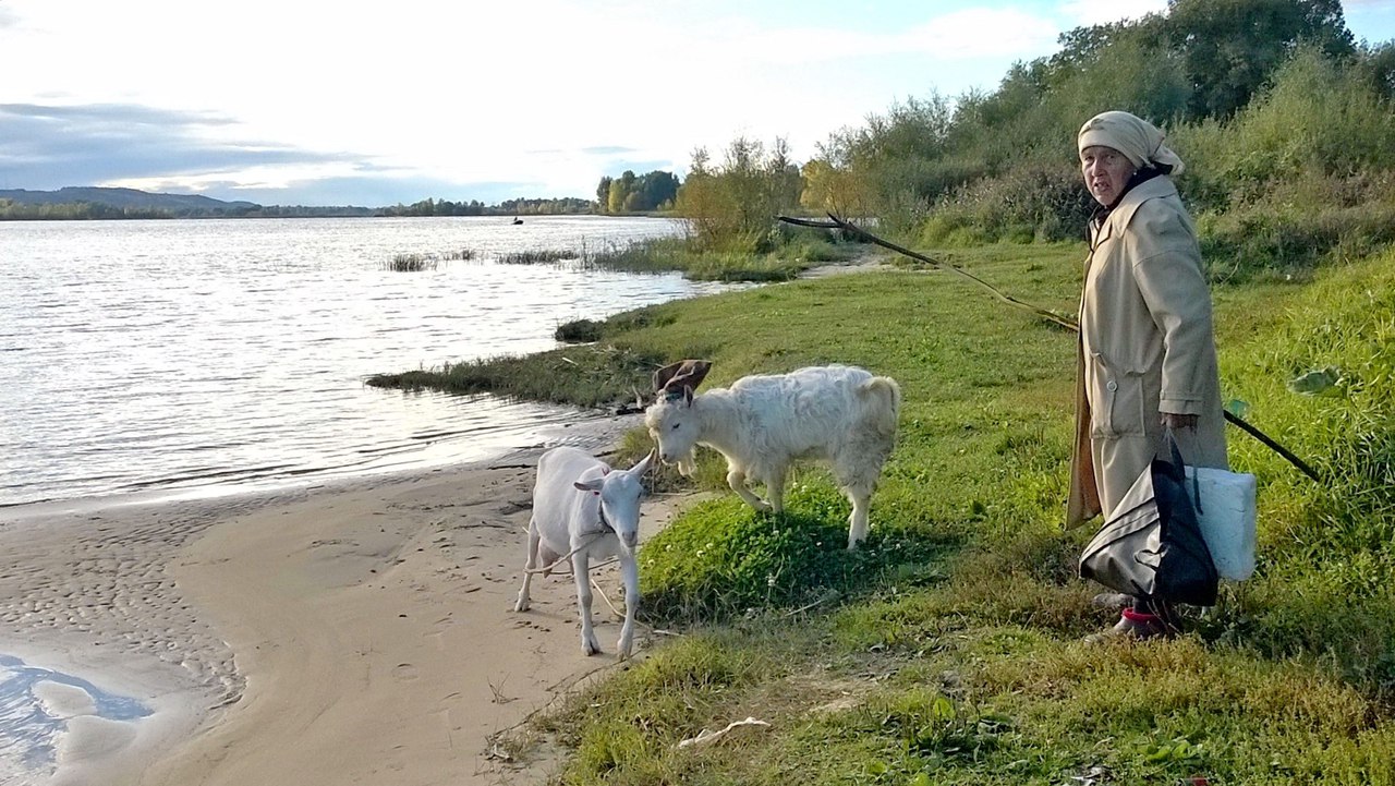 Александр Царегородцев