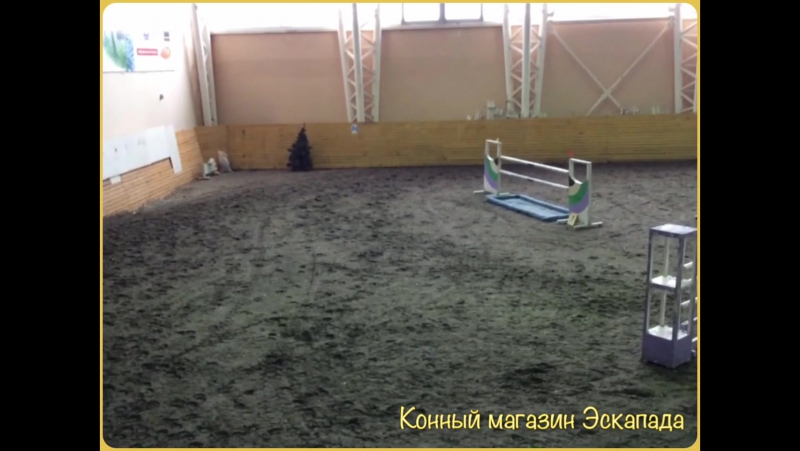 Уразметова Регина_Каринто_140
