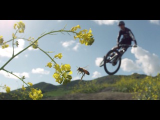 RockShox: Chaos Can't Be Beautiful