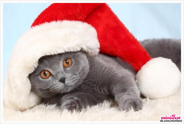 Світлана Пирожок, Украина, Костополь