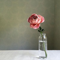 Полеты-Во-Сне-И-Наяву Гусева