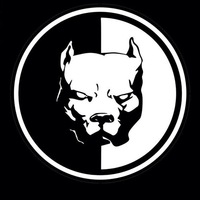 Михаил Сергеев | Новосибирск