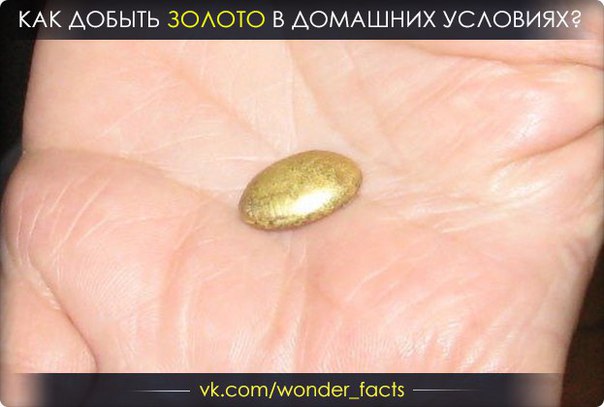 Добыть золото домашних условиях Добыть золото домашних условиях