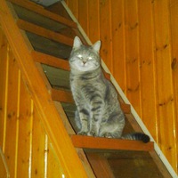 Алексей Жигунов | 