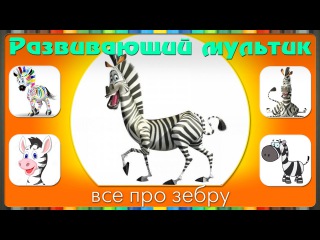 Мультики про животных. Развивающий мультфильм про ЗЕБРУ.