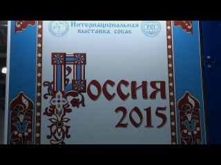 Dog Show Russia 2015 day 2 - Tatra Shepherd Dog /Польская Подгалянская Овчарка