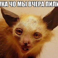 Фото как мы пили, стол кухонный производство кострома и как защитить желудок от аспирина Фото как мы пили