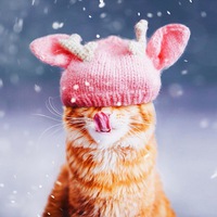 Оксана Бережнева