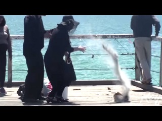 TheRoyalStampede - Dropping Ashes in Public