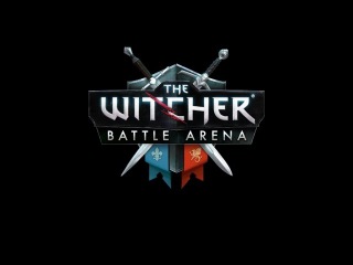 The Witcher Battle Arena (gameplay video on Android)