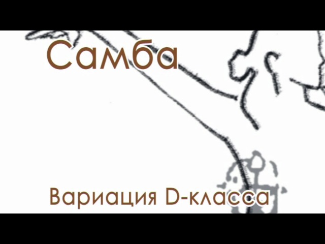 003 Samba variation D klass