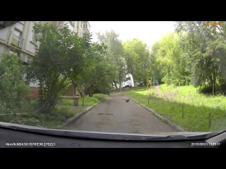 Черный кот хотел перебежать через дорогу