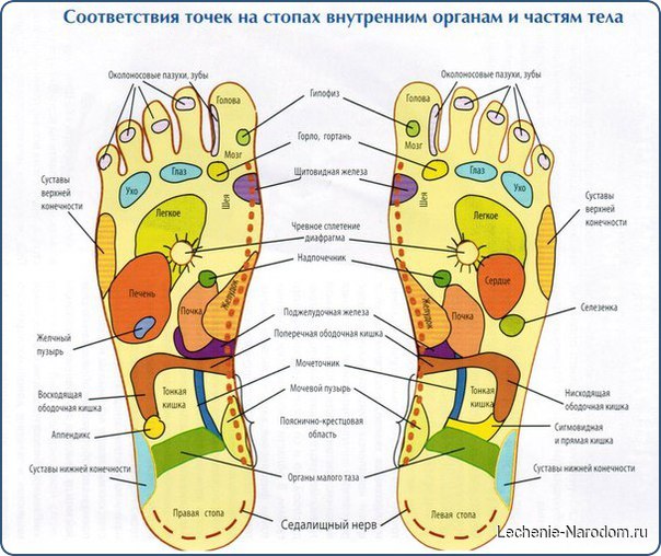 Главное в ноге — это пятка! 