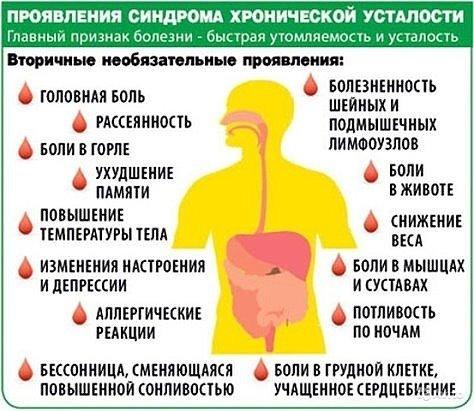 СИНДРОМ ХРОНИЧЕСКОЙ УСТАЛОСТИ. ЛУЧШИЕ РЕЦЕПТЫ. 