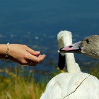 Юлия Ковалёва