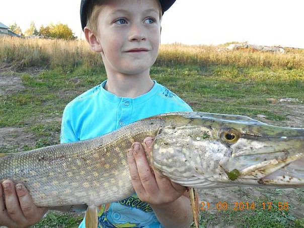 Владислав Андрианов, Россия, Москва