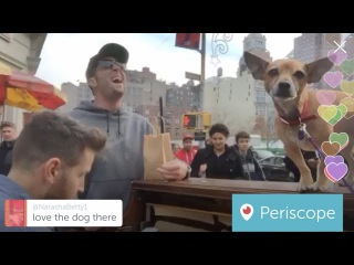Spontaneous Maroon 5 Duet on Street Piano in NYC | Periscope Piano Man #4