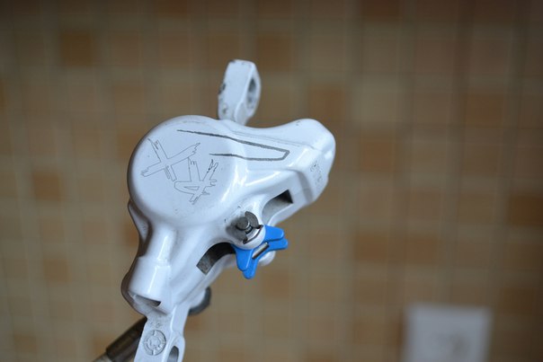 B4ADaiP8pf4.jpg