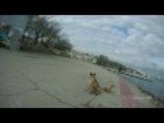 Test SJCAM SJ5000 Plus. 1920x1080 60fps. awb auto. Феодосия.