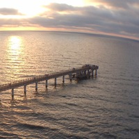 Олег Синицын