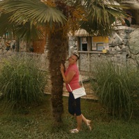 Елена Павлова