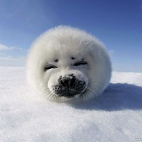 Владимир Гуков |