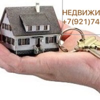 Елена Нистор