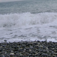 Лидия Васильева | Отрадный