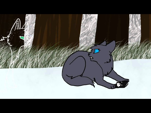 Rubiks Cube - Bluestar amv