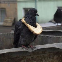 Валентин Беккер | Красноярск