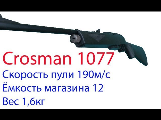 y_1113b176.jpg
