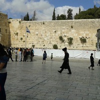 Наталья Гурфинкель