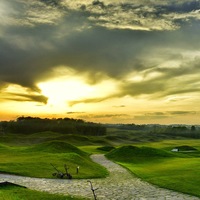 Миша Новиков