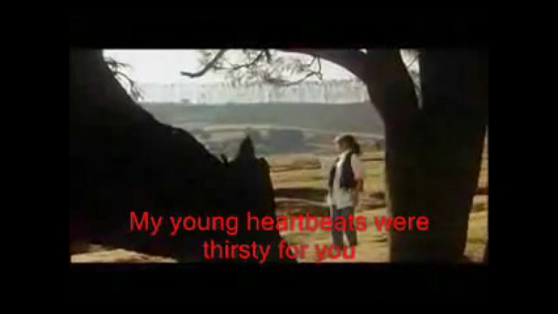 Kisi Din Banoongi Main- Raja