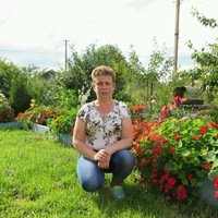 Елена Пальцева |