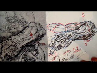 Pen and Ink Drawing Tutorials | Cross-hatching and shading tips from Peter Paul Rubens