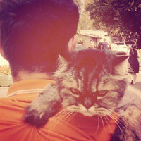 Александр Михайлович