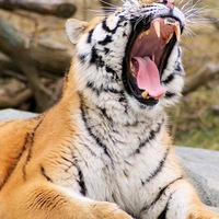 Александр Васякин | Пенза