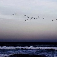 Софья Каникова