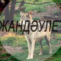 Жандаулет Умирханов