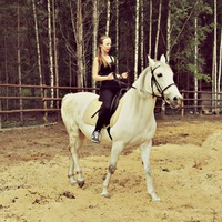 Евгения Птица