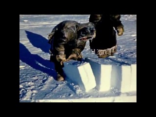 How to Build an Igloo