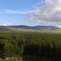 Николай Бубнов