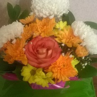 Наташа Найденова | 