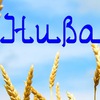 Павлодарская районная газета "Нива"