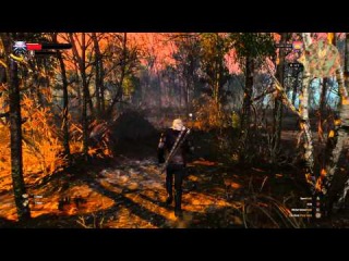 The Witcher 3 Wild Hunt Xbox One Gameplay 1080p 60fps