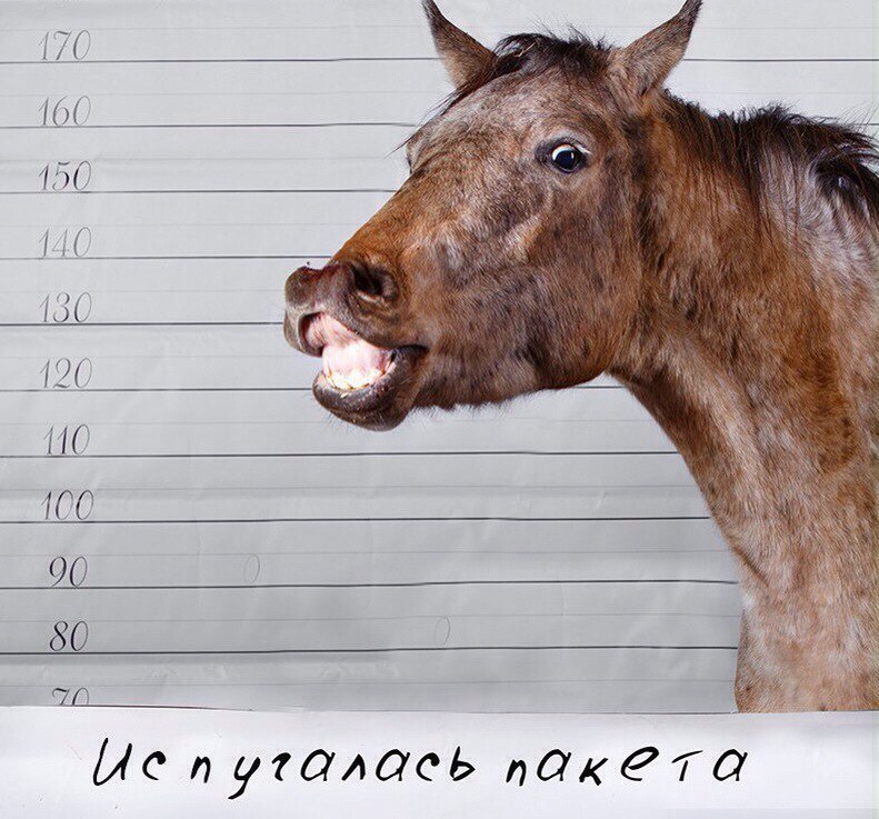 iO1X8t3GFHQ.jpg