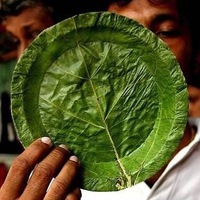 Андрей Локамп