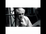 harry potter || draco malfoy vine